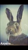 Aleks_0508