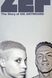 ZEF: История Die Antwoord