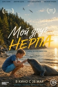 Постер Мой друг нерпа