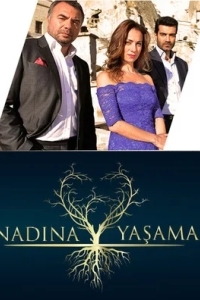 Жить вопреки всему