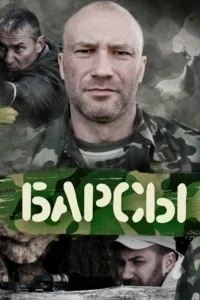 Барсы