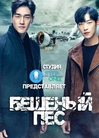 Бешеный пёс