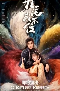 Девять хвостов не спрятать / Вечная любовь лисы