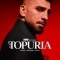 Топурии