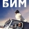 БиМ