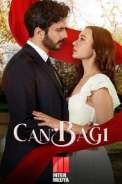 Струны души / Струны любви