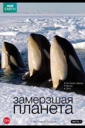Постер BBC: Замерзшая планета