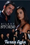 Тихая буря