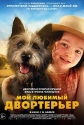 Мой любимый двортерьер