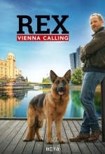 Комиссар Рэкс: Перезапуск / Рекс: Вена зовёт