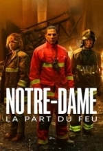Нотр-Дам в огне