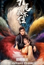 Девять хвостов не спрятать / Вечная любовь лисы