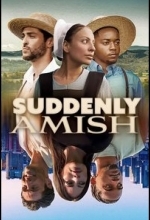 Внезапно амиши