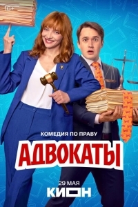 Адвокаты