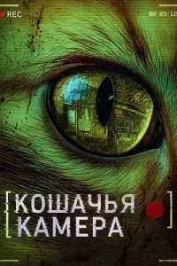Постер Кошачья камера