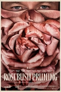 Подрезка кустов роз