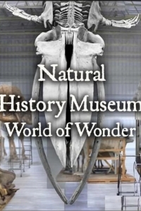 Natural History Museum: World of Wonder