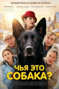 Постер Чья это собака?