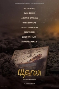 Щегол